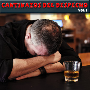 Listen to Te Eche Al Olvido song with lyrics from Lady Yuliana