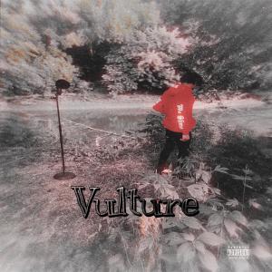 Album Vulture (Explicit) oleh L1k