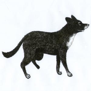 ดาวน์โหลดและฟังเพลง 2001 พร้อมเนื้อเพลงจาก Plaupez