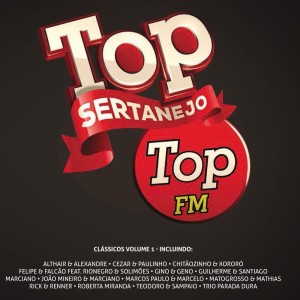 อัลบัม Top Sertanejo: Top 104,1 Fm Clássicos, Vol. 1 ศิลปิน Various Artists