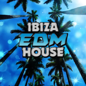 ดาวน์โหลดและฟังเพลง Heat This Up พร้อมเนื้อเพลงจาก EDM House Hits
