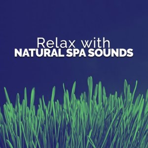 收聽Relaxing With Sounds of Nature and Spa Music Natural White Noise Sound Therapy的Water Wheel歌詞歌曲