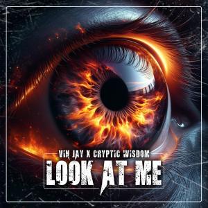 Vin Jay的專輯Look At Me (feat. Cryptic Wisdom) [Explicit]