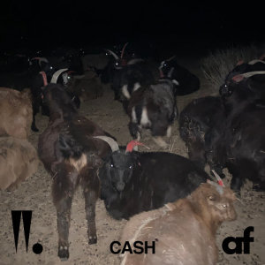 收听Woo Won Jae(우원재)的CASH歌词歌曲