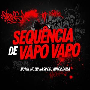 ดาวน์โหลดและฟังเพลง SEQUENCIA DE VAPO VAPO (PIQUE CAPIXABA|Explicit) พร้อมเนื้อเพลงจาก MC Mn