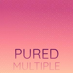 Various Artists的專輯Pured Multiple