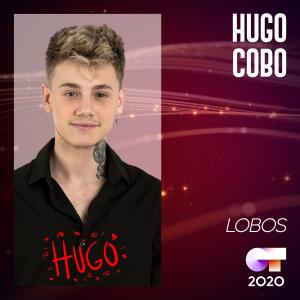 ดาวน์โหลดและฟังเพลง Lobos พร้อมเนื้อเพลงจาก Hugo Cobo