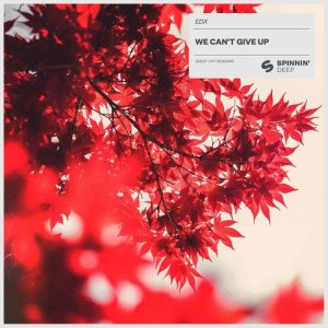 收聽EDX的We Can't Give Up (Extended Mix) (Extended Version)歌詞歌曲