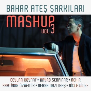 Listen to Eller Olsun / Evet / Kibrit / Bir Başkası / Gelgitler Oldu / Dilsiz Sokak (Bahar Ateş Şarkıları, Vol. 3) song with lyrics from Ceylan Koynat