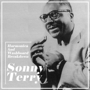 Sonny Terry and Brownie McGhee的專輯Harmonica And Washboard Breakdown