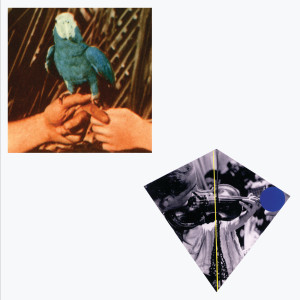 ดาวน์โหลดและฟังเพลง Are You Serious พร้อมเนื้อเพลงจาก Andrew Bird