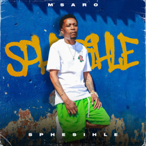 Listen to Things You Make Me Do song with lyrics from Msaro