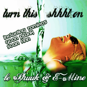 Listen to Turn This Shhht On (Frank Kohnert Remix) song with lyrics from Le Shuuk