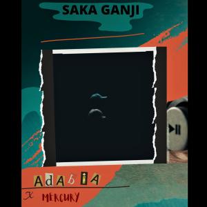 Album Saka Ganji from Adabia Beatz