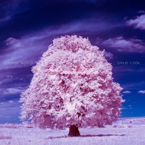 อัลบัม Strange World ศิลปิน David Cook