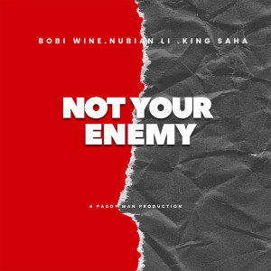 收聽King Saha的Not Your Enemy歌詞歌曲