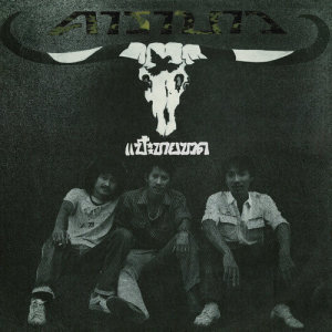 ดาวน์โหลดและฟังเพลง ถึกควายทุย 2 พร้อมเนื้อเพลงจาก Carabao