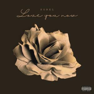 SONEL的專輯Love you now