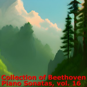 Album Collection of beethoven piano sonatas, Vol. 16 from Artur Schnabel