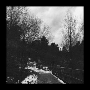 收聽The Virus and Antidote的BurntRubber (Explicit)歌詞歌曲