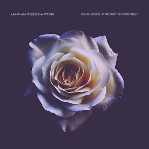 Listen to ça blesse song with lyrics from Marvin Rose Carter