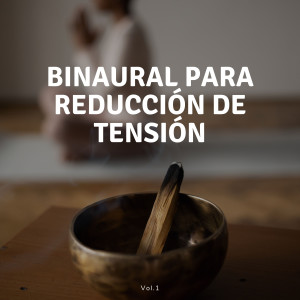 Album Binaural Para Reducción De Tensión Vol. 1 oleh Realidad Binaural