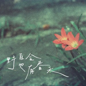 Listen to 野百合也有春天 (完整版) song with lyrics from 岩贵