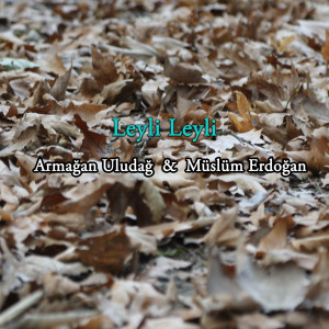 Listen to Leyli Leyli song with lyrics from Armağan Uludağ