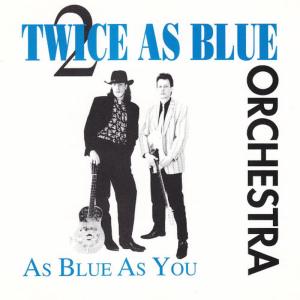 ดาวน์โหลดและฟังเพลง Bad Vibes And Aspirin พร้อมเนื้อเพลงจาก Twice As Blue Orchestra