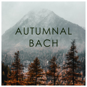收聽The English Concert的J.S. Bach: Suite No.2 In B Minor, BWV 1067 - 7. Menuet歌詞歌曲