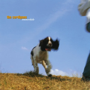 ดาวน์โหลดและฟังเพลง Sick & Tired พร้อมเนื้อเพลงจาก The Cardigans