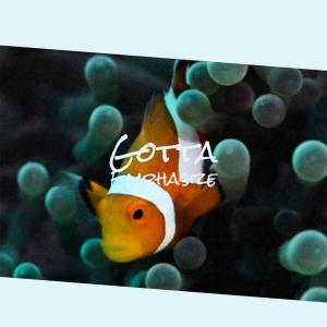 Dengarkan Hallelujah Machine lagu dari Catie Fros dengan lirik