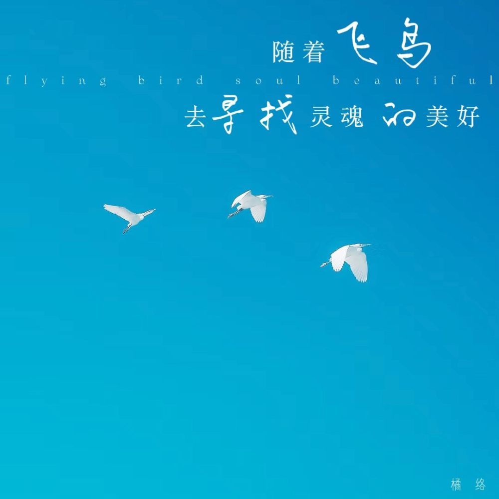 随着飞鸟去寻找灵魂的美好