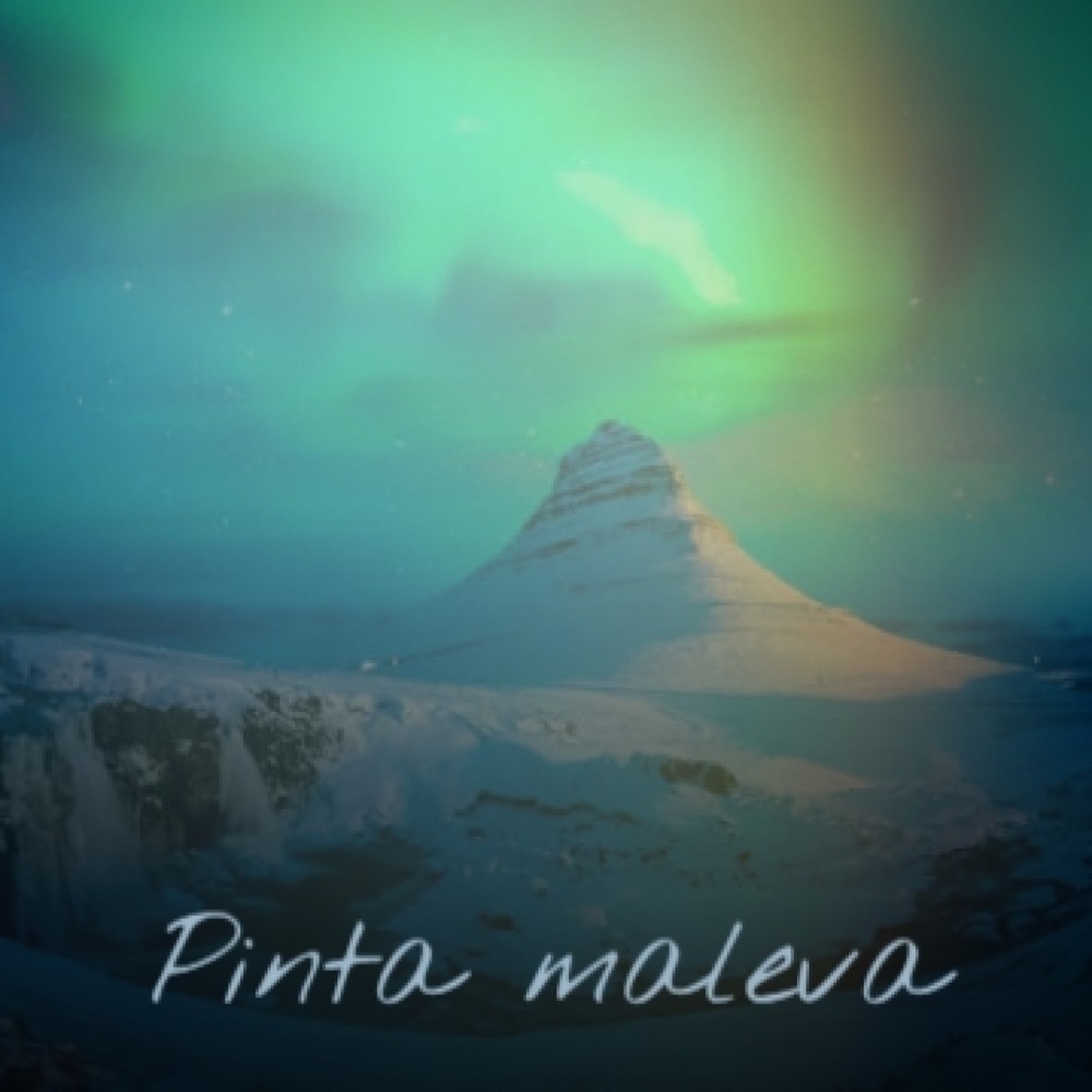 Pinta maleva