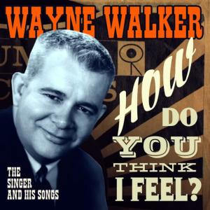 ดาวน์โหลดและฟังเพลง A Teenage Love Affair (Can Cause The Blues) พร้อมเนื้อเพลงจาก Wayne Walker