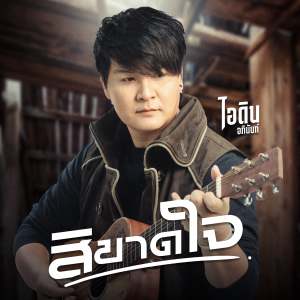 Listen to สิขาดใจ song with lyrics from ไอดิน อภินันท์
