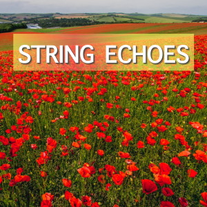 Listen to Symphony No 1: I song with lyrics from Capital Orchestra