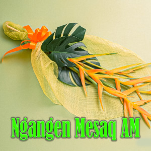 Sandi Wisnu的專輯Ngangen Mesaq AM