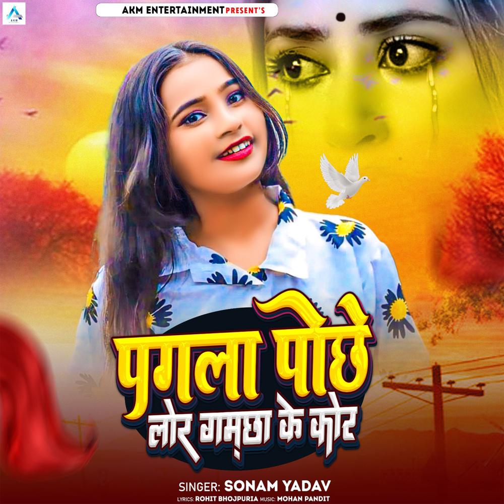 Pagla Pochhe Lor Gamchhi Ke Kor Se