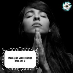 Album Meditation Concentration Tunes, Vol. 01 oleh Various