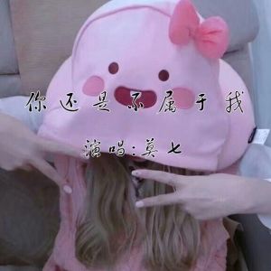 Album 你还是不属于我 from 莫七