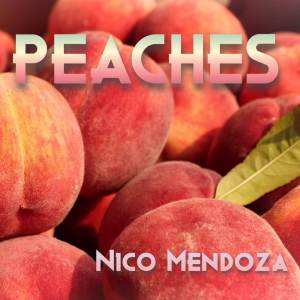 Album Peaches (From "The Super Mario Bros. Movie") [String Quartet Version] from Nico Mendoza
