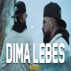 Listen to DIMA LEBES song with lyrics from MHD 7050