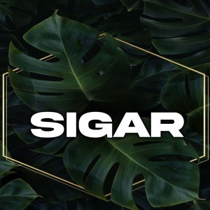 ดาวน์โหลดและฟังเพลง SIGAR (Cover) พร้อมเนื้อเพลงจาก Skc music official