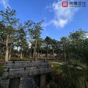 收聽一隻千紙鶴的森林的樹葉歌詞歌曲