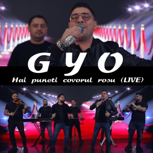 Listen to Hai puneti covorul rosu (Live) song with lyrics from Gyo