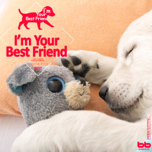 I'm Your Best Friend的專輯Classic for My Pet Therapy, Collection (Relaxing Pet Music,Relax My Dog Music,Relax My Cat Music)