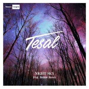 ดาวน์โหลดและฟังเพลง Night Sky พร้อมเนื้อเพลงจาก Tesal
