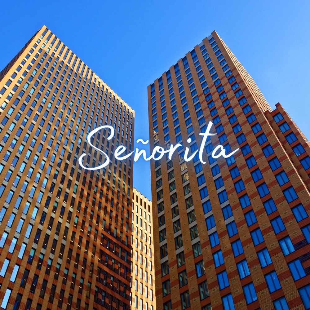 Señorita (Slowed & Reverb)