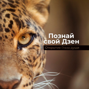 收听Mindfulness Meditation Universe的Ровное дыхание歌词歌曲